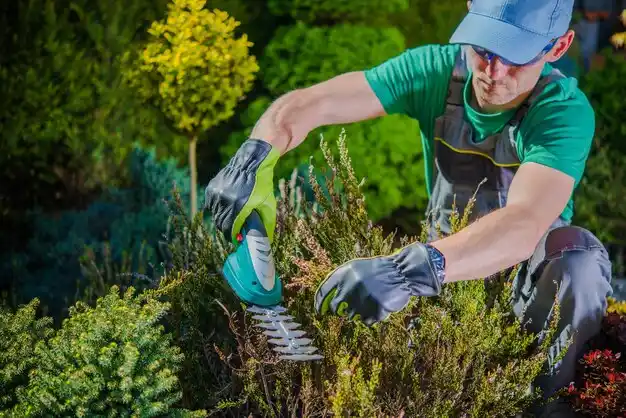 landscaping services Melvindale